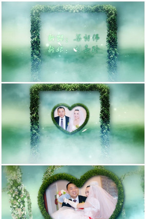  �������������Ƶģ�� aep