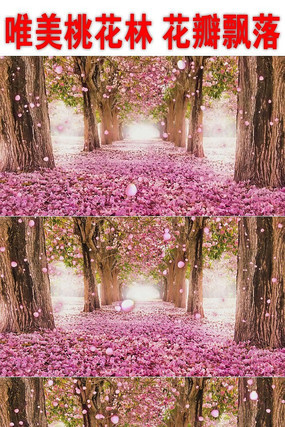 Ψ���һ���