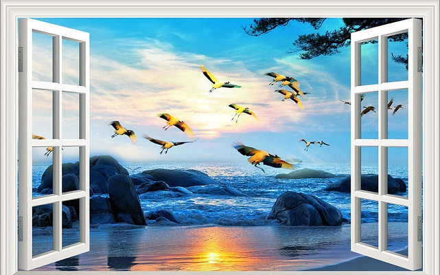 �ɳ�����