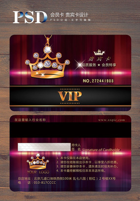 �ߵ��Ź�ò�VIP�� PSD