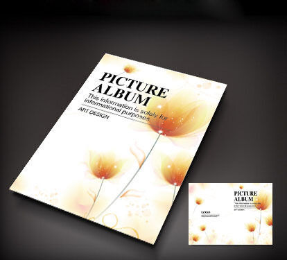 ��ɫ����