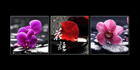 ���ھӼһ���