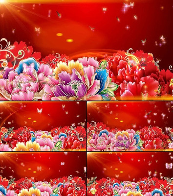 ��   ����