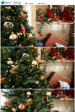 ʥ���ڸ�����Ƶ mov