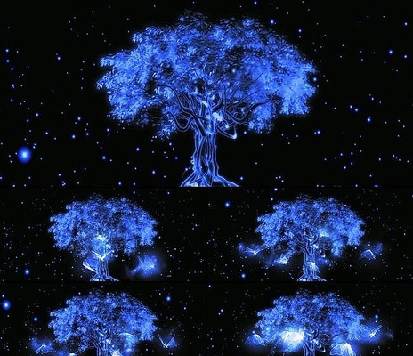 Ψ����̬LED��Ƶ mov