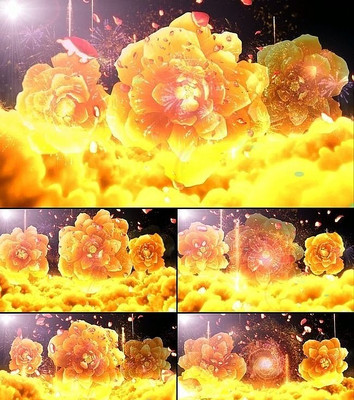 �й����ɫ���ơ�ĵ��������Ƶ mov