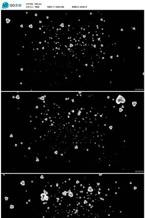 ����������Ƶ�ز�(��͸��ͨ��) mov