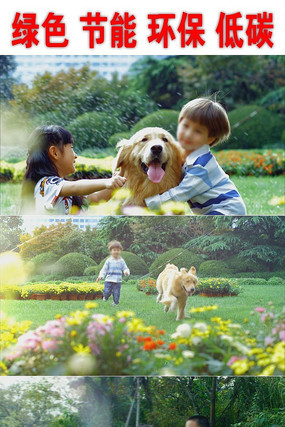 ��ɫ���ܵ�̼��������Ƭ