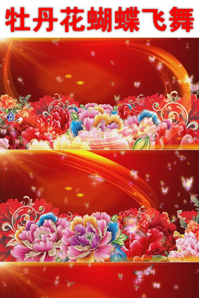 ����ĵ����������Ƶ mov