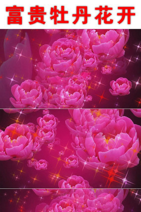 ĵ����������������Ƶ�ز� avi