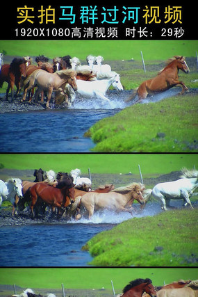 ʵ����Ⱥ������Ƶ mov