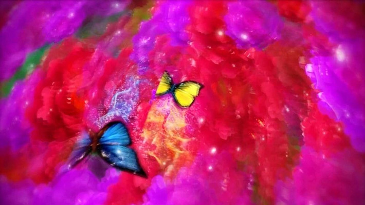 ���괺��Ƭͷ