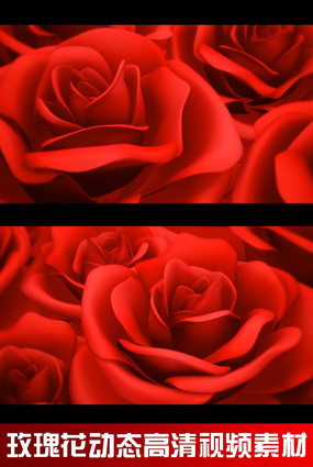 õ�廨��̬������Ƶ�ز� mov