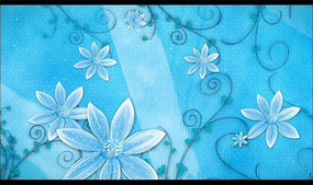 ��ɫ����