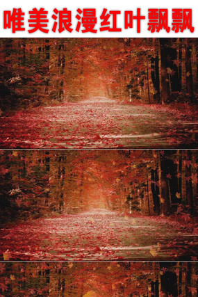 ������Ҷ