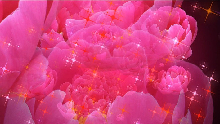 ĵ������̬��Ƶ mov