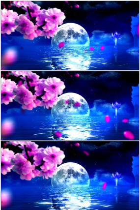 Ψ����������������̨��Ƶ���� mov