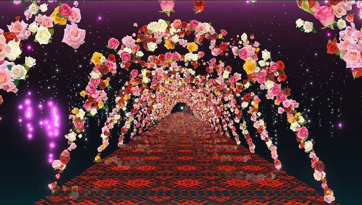 ����������̬��Ƶ���� mpg