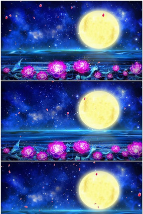 Ψ��������Բ������̨��Ƶ���� mov