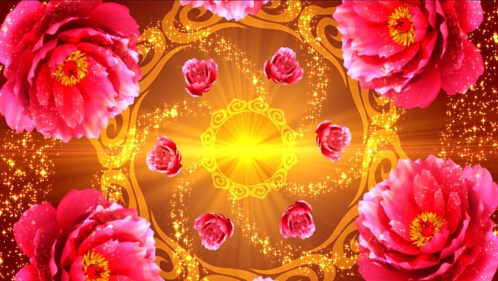 ��תϲ��ĵ������Ƶ���� mov