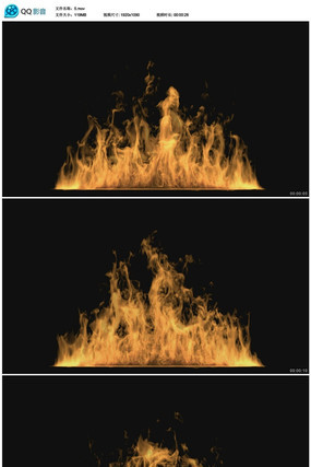 ���������Ƶ�ز� mov