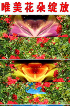 Ψ���������Ŷ�̬��Ƶ���� avi