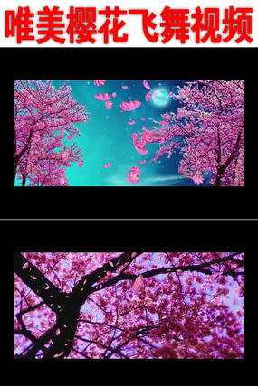 Ψ��ӣ��������Ƶ���� mov