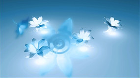 ��̬������Ƶ���� mov