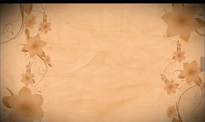 ��������������Ƶ���� mov