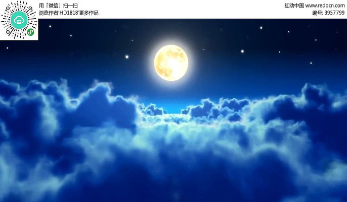 ����������Ƶ����