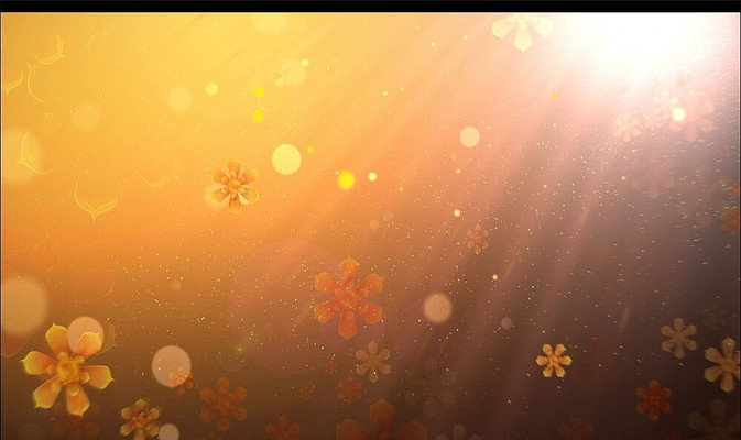 �仨��̬��Ƶ���� mov