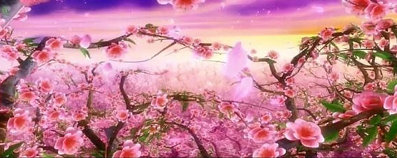 ��Դ����