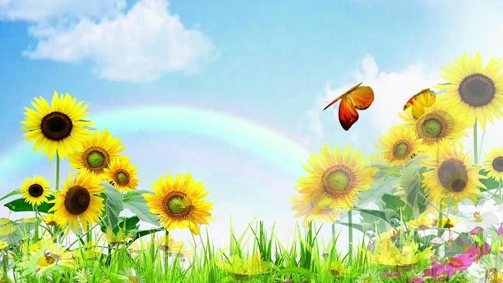 ����ɽ��