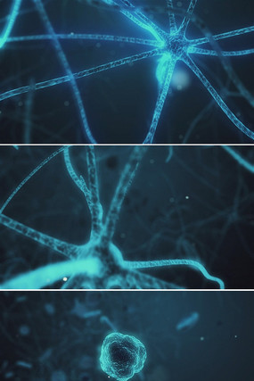 ҽ��������Ƶ