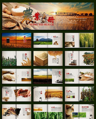 ũҵ����ģ����� CDR