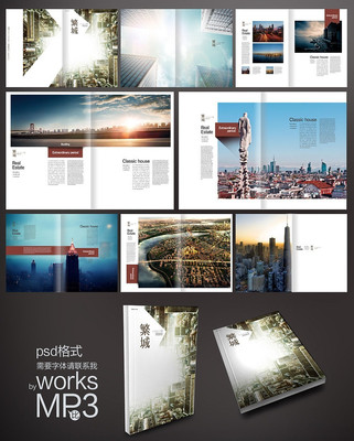 ��ҵ��˾��������� PSD