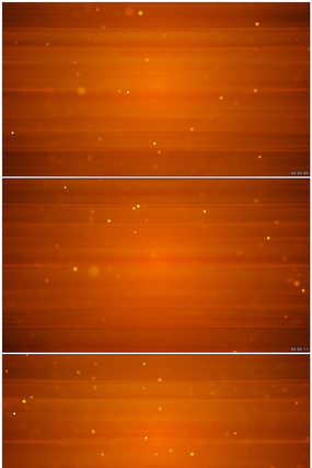 ��̬���Ч��