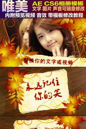 Ψ����Ҷ���AEģ�� aep