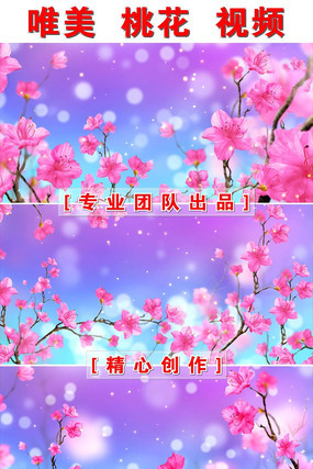 �һ��ֱ�����Ƶ