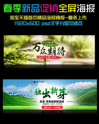 �Ա������������к���ģ��