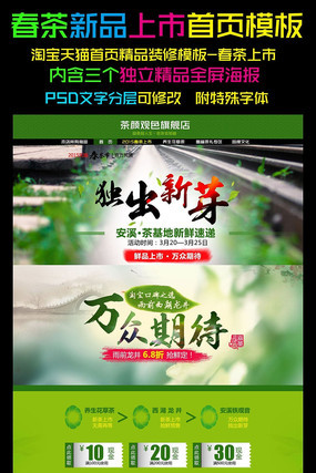 2015�Ա���è����������ҳװ�� PSD