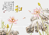 ӱǽ