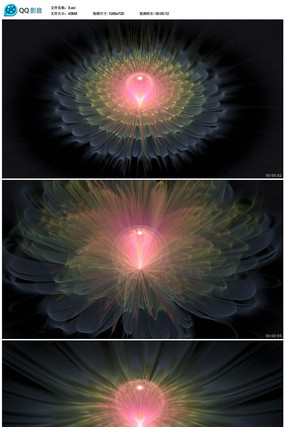 ���󻨶���Ƶ�ز� avi