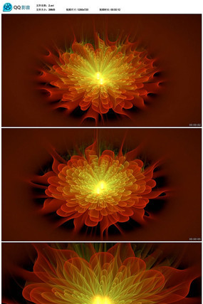 ������ת������Ƶ�ز� avi