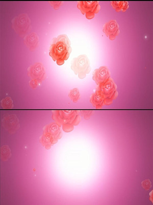 õ��ĺ�ɫ����