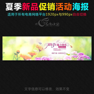 �Ա���è��������Ůװ������ز�ģ�� PSD