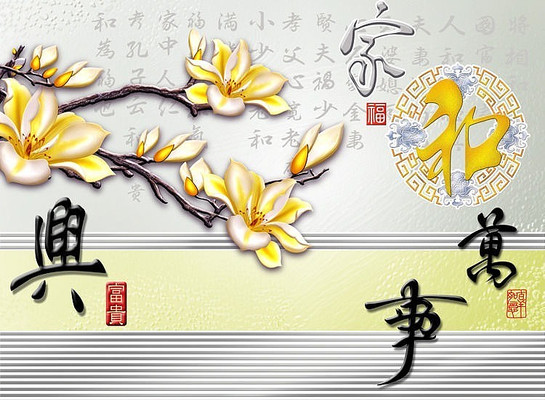 �Һ������˵��ӱ���ǽ PSD