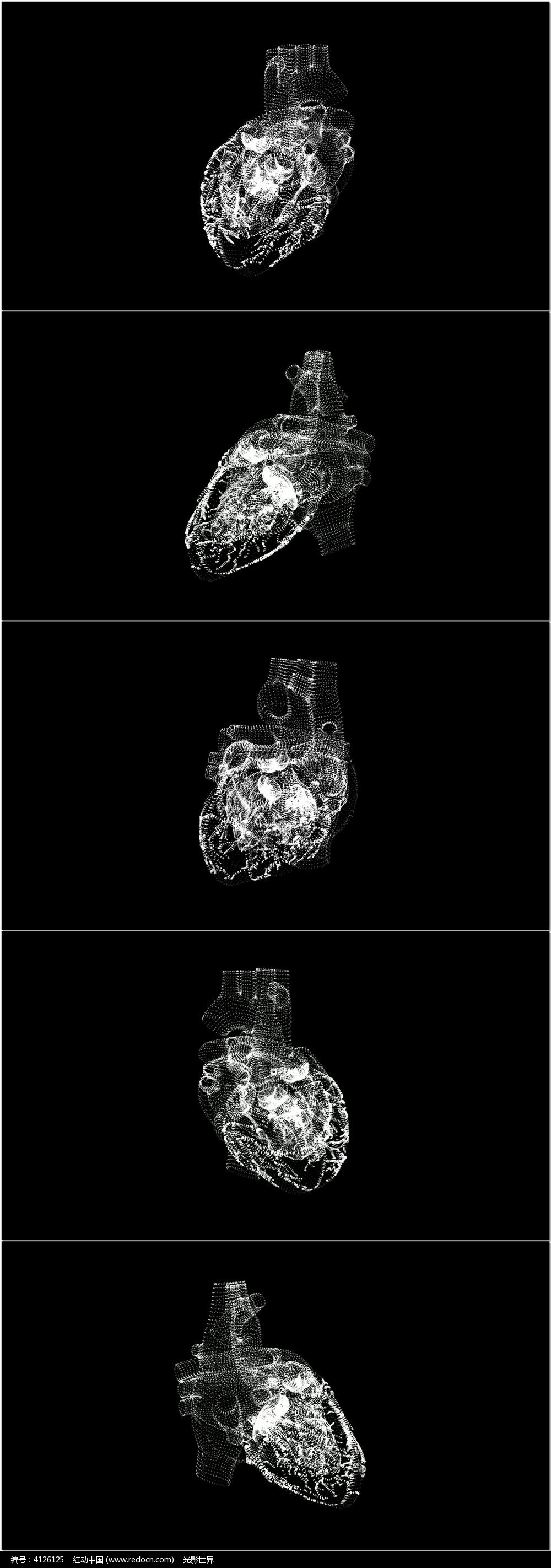 3d心脏转动图三维图片