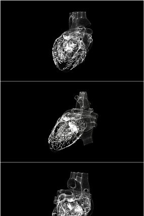 3D������ת��̬��Ƶ�ز� mov