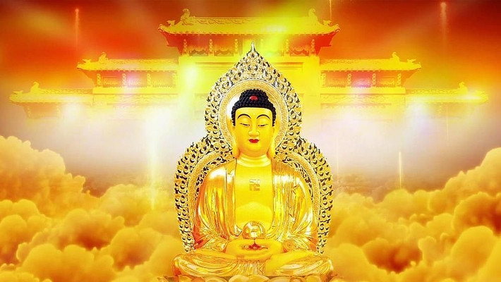 �����Ƶ����